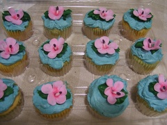 Cupcakes Pink-Flowers